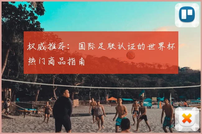 权威推荐：国际足联认证的世界杯热门商品指南