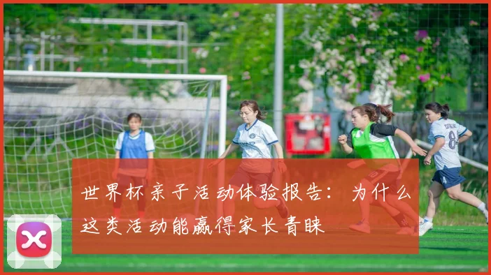 世界杯亲子活动体验报告：为什么这类活动能赢得家长青睐
